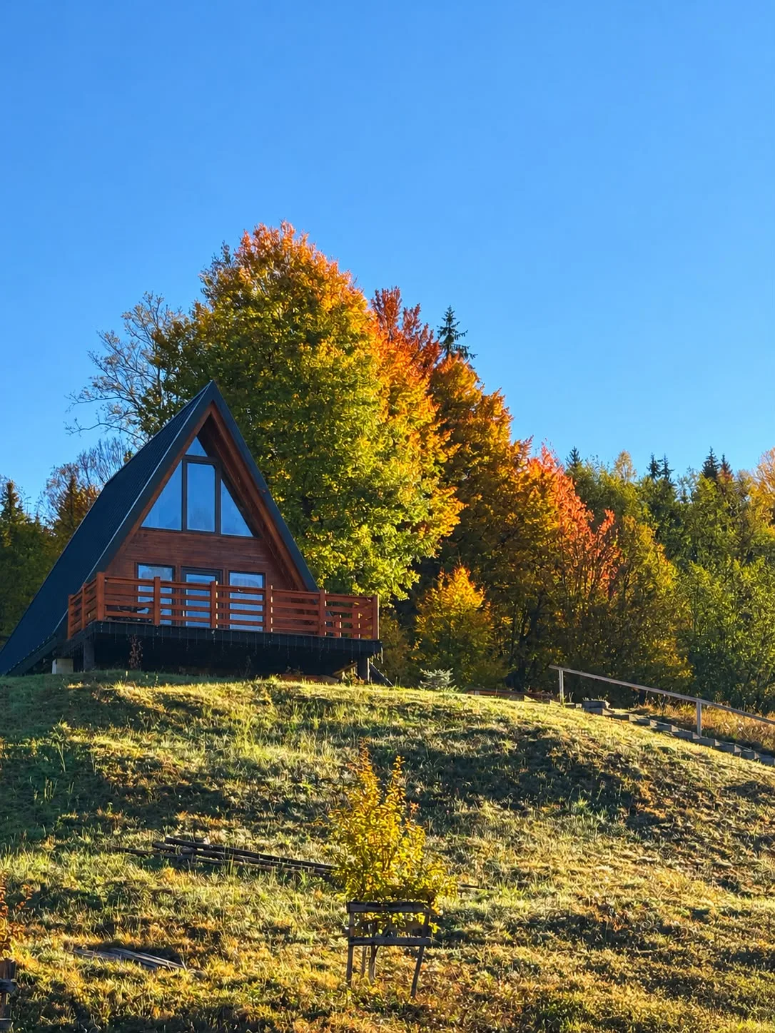 A-frame Nectaria imagine 2