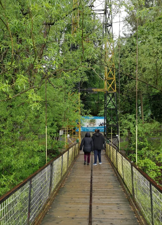 Parcul Ariniș imagine 3