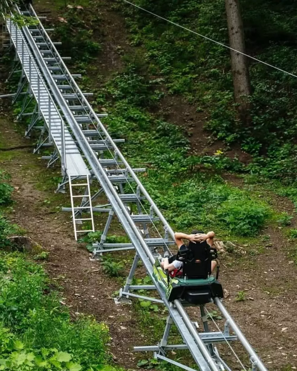 Bob Forest Coaster  miniatura 4