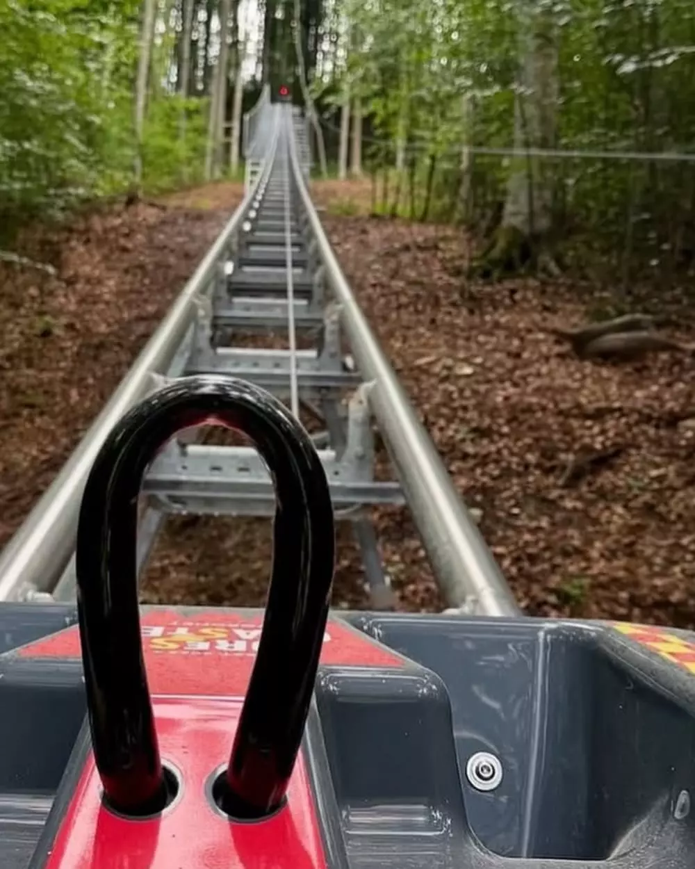 Bob Forest Coaster  miniatura 5