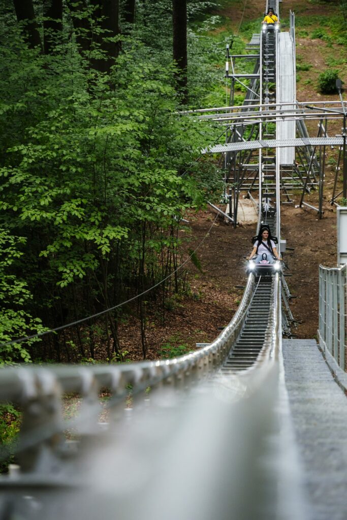 Bob Forest Coaster  miniatura 6