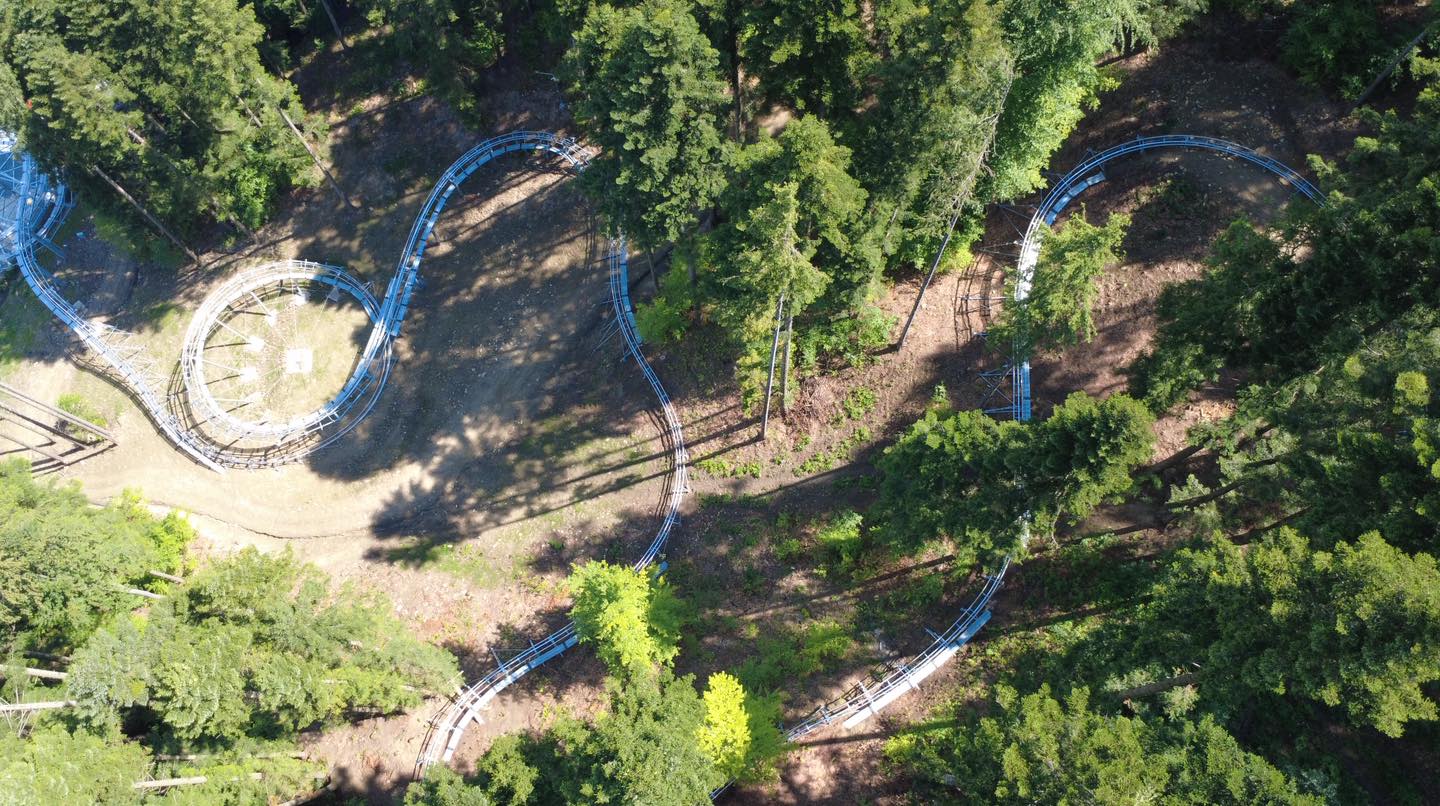 Bob Forest Coaster  miniatura 8