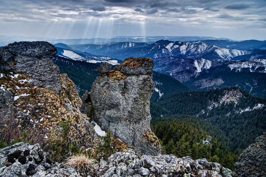 Fânețele Montane Todirescu imagine 3