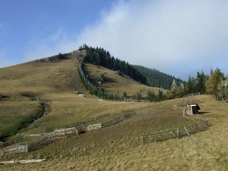 Fânețele Montane Todirescu miniatura 5