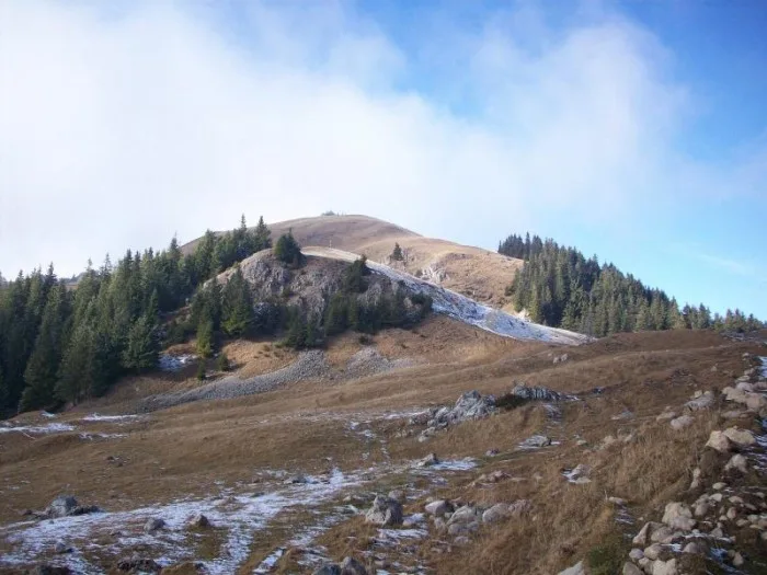 Fânețele Montane Todirescu miniatura 6