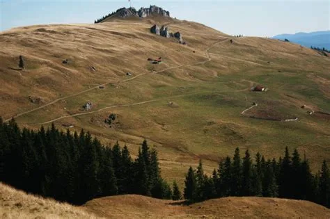 Fânețele Montane Todirescu miniatura 7