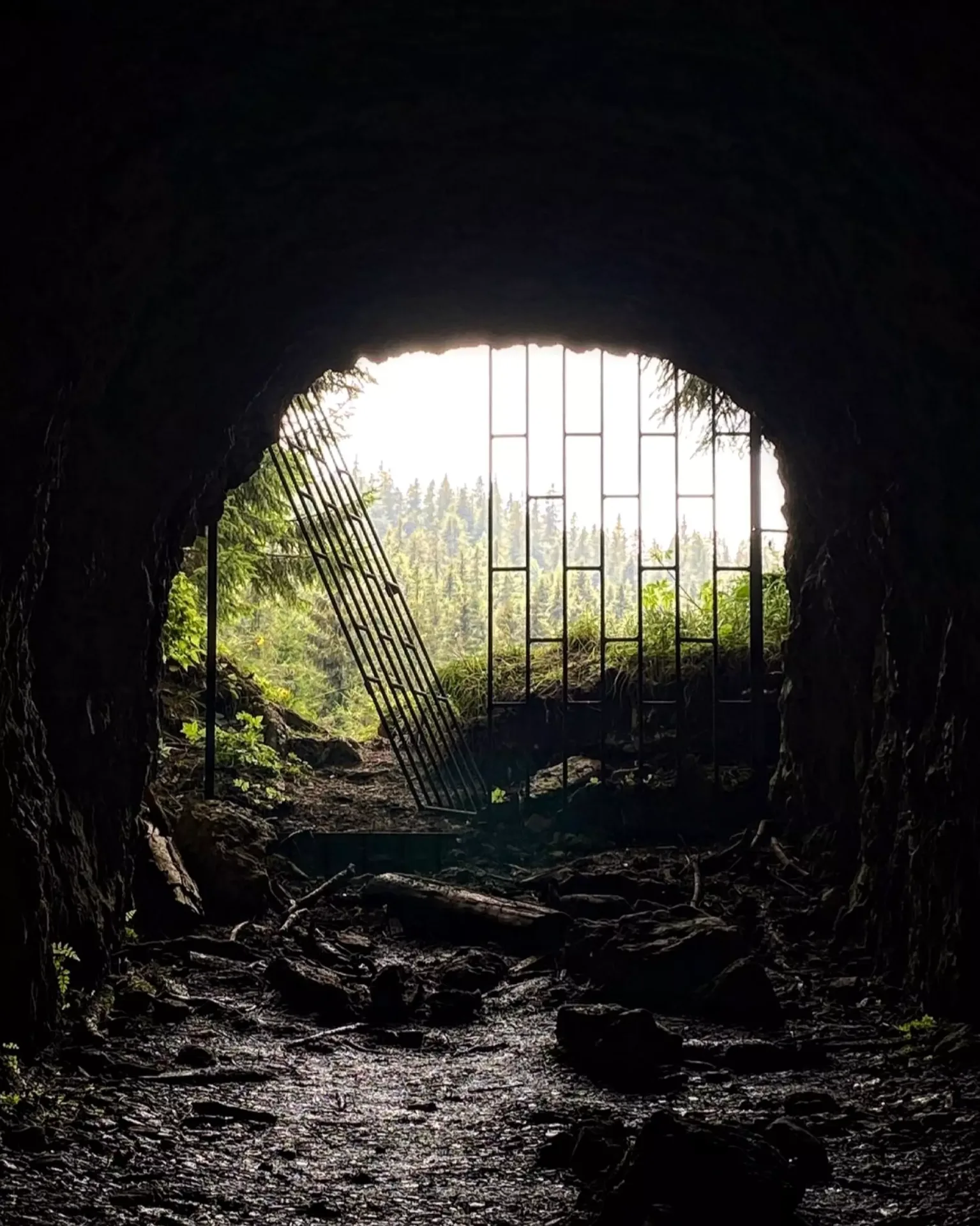 Mina Rarău – Fereastra din Munte imagine 2