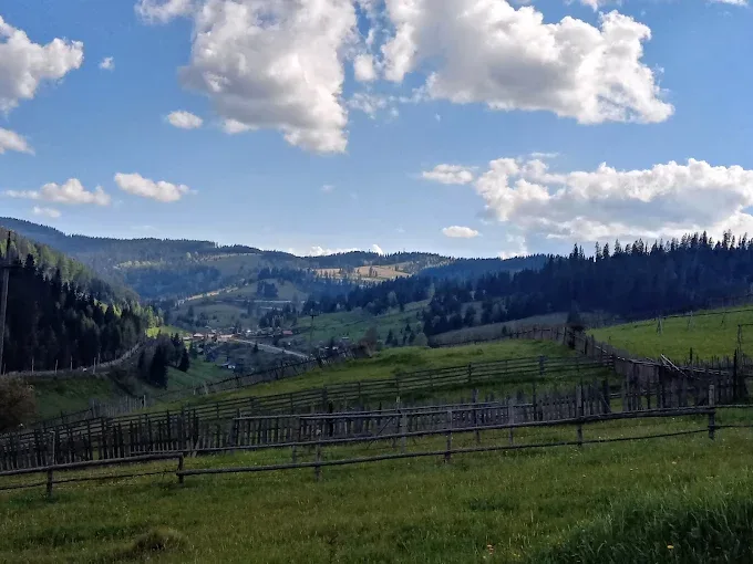 Belvedere Valea Putnei imagine 3