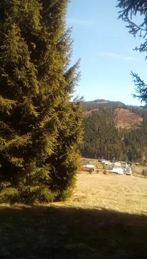 Belvedere Valea Putnei miniatura 4