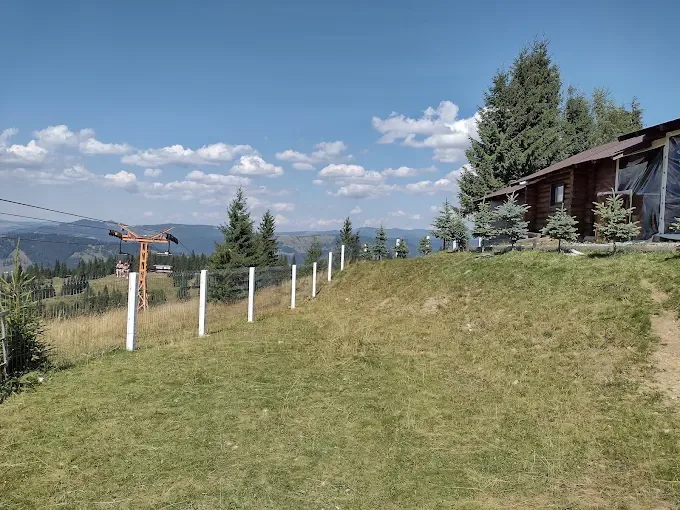 Telescaun Vatra Dornei – Dealul Negru miniatura 8
